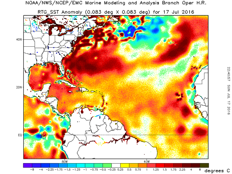 Sea surface temperature anomalies for the Northwest Atlantic. Image: NOAA